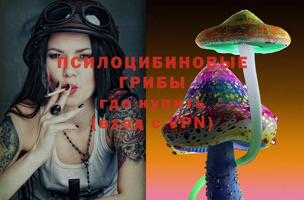 СК Вяземский