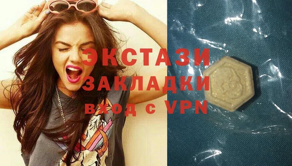 гидра Покачи