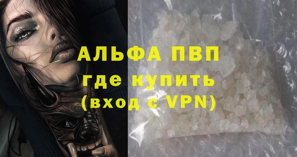 СК Новодвинск