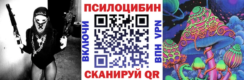 магазин продажи   Задонск  Галлюциногенные грибы прущие грибы 